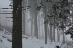 Krackow_17