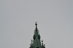 Krackow_84