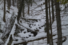 Krackow_9