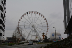 Krackow_96