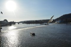 czech_prague_19