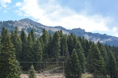 trikala-elati-09