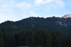 trikala-elati-364