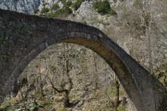 trikala-elati-394