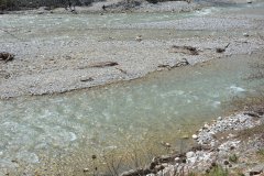 trikala-elati-481