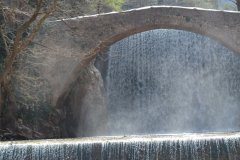 trikala-elati-560