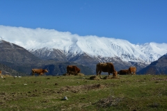 tzoumerka_57