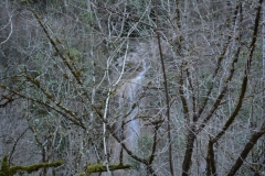 tzoumerka_64