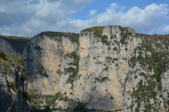 zahorohoria_7794