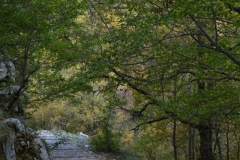 zahorohoria_7863