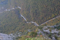 zahorohoria_7916