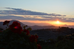 zahorohoria_8147
