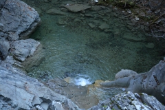 zahorohoria_8227
