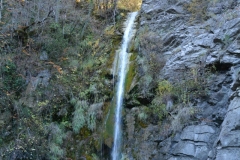 zahorohoria_8286