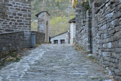 zahorohoria_8389