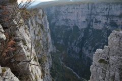 zahorohoria_8441
