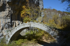 zahorohoria_8587