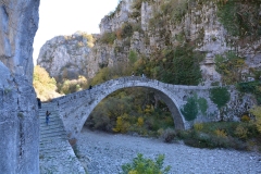zahorohoria_8657
